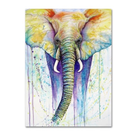 Michelle Faber 'Elephant Colors' Canvas Art,35x47
